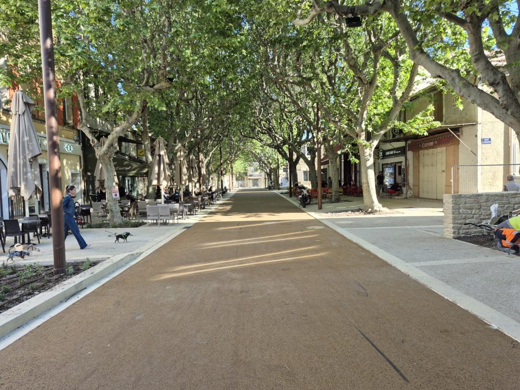 Allée arborée aménagée en centre urbain avec cheminement piéton