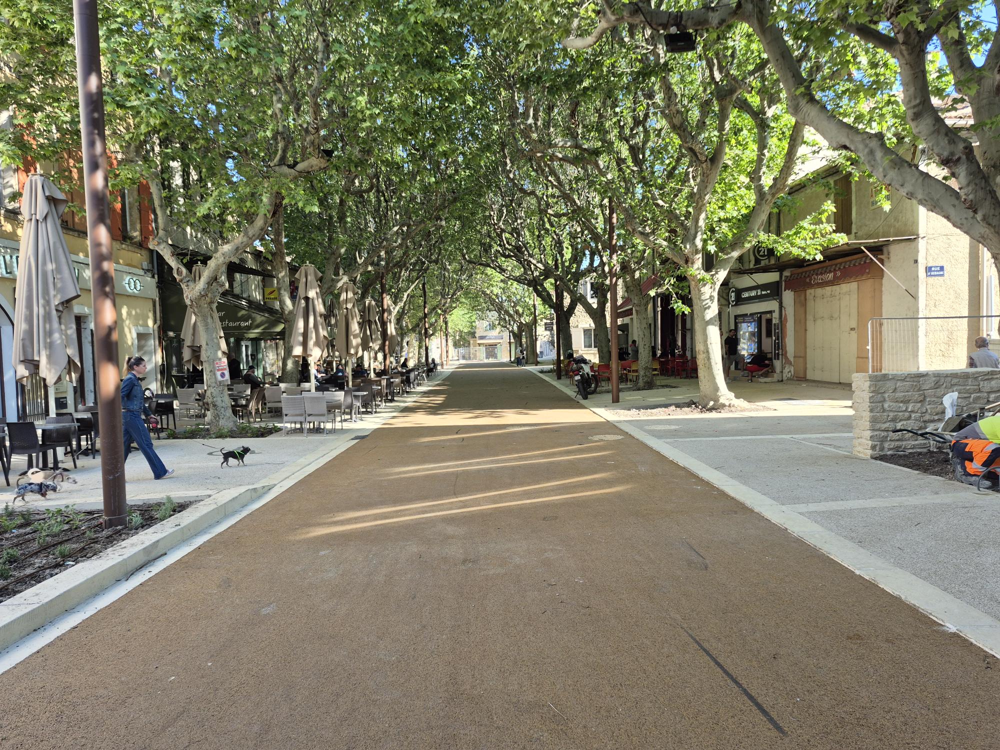 Allée arborée aménagée en centre urbain avec cheminement piéton